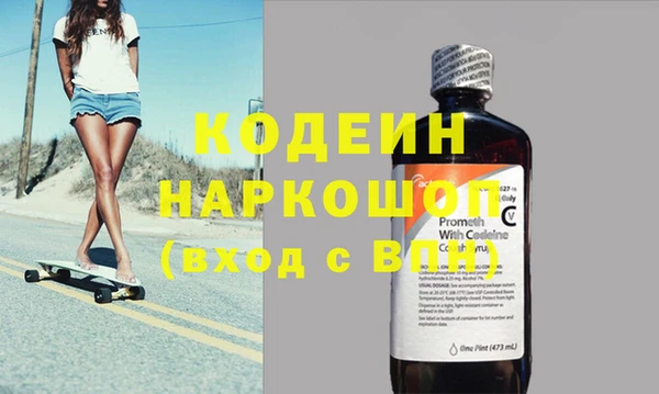 хмурый Алексин