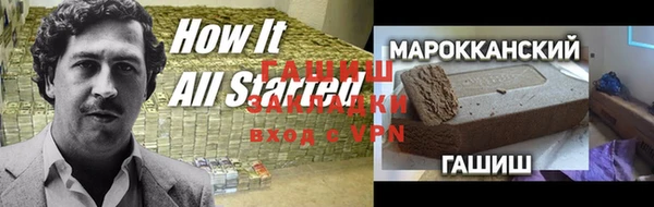 хмурый Алексин