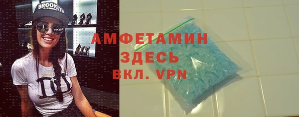 хмурый Алексин
