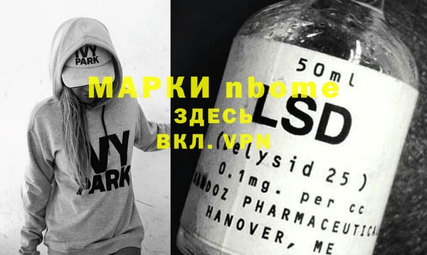 хмурый Алексин