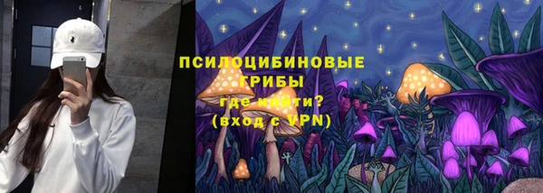 хмурый Алексин