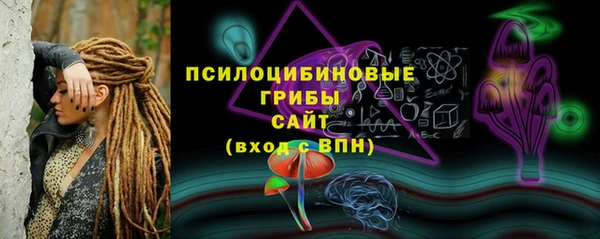 a pvp Алзамай