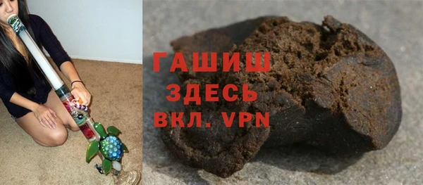 хмурый Алексин