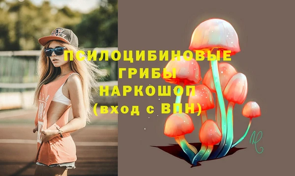 a pvp Алзамай